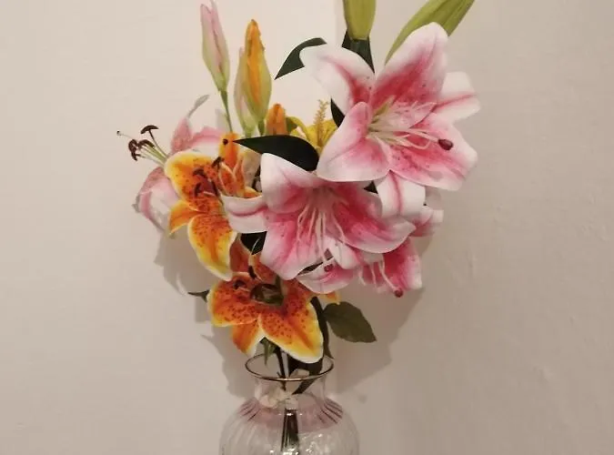 Lirios Centro Storico